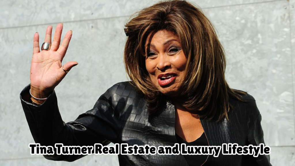 Tina Turner Net Worth